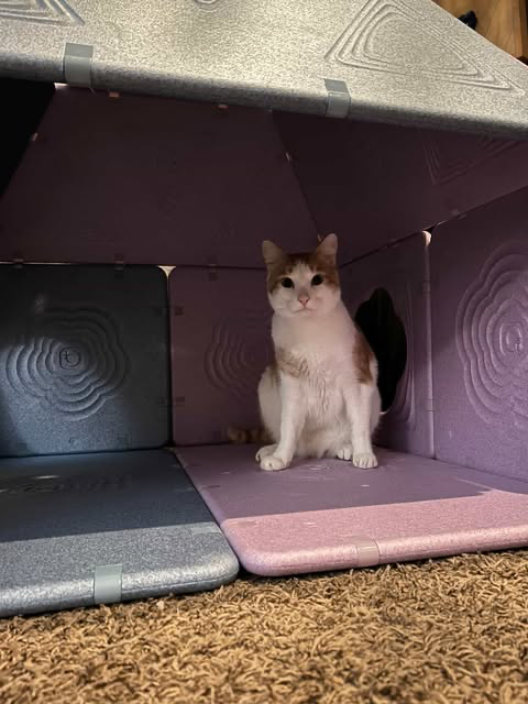 Magnetic Fort Building Panels